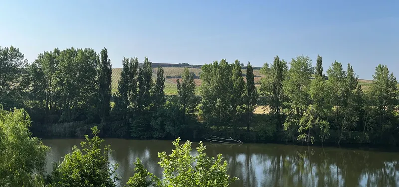Descubriendo la rica biodiversidad de Briñas: flora y fauna del entorno del Ebro y la sierra
