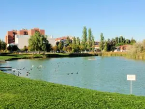 Laguna de Duero: Un paraíso natural entre pinares, riberas y su histórica laguna salina