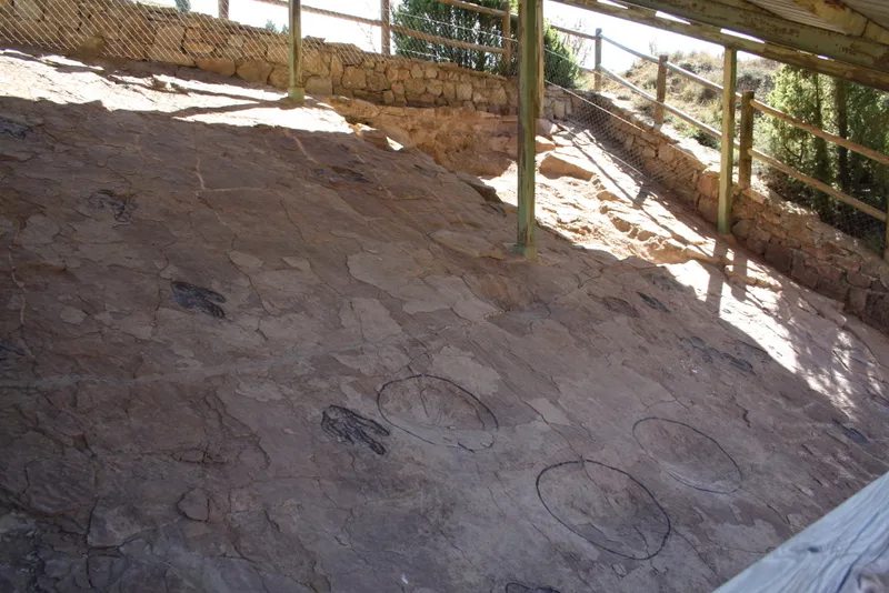 Protegen las huellas de dinosaurio de El Pelejón en Galve