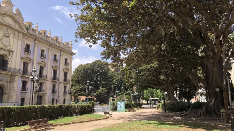 València inicia obras para proteger el ficus monumental del Parterre y mejorar accesos
