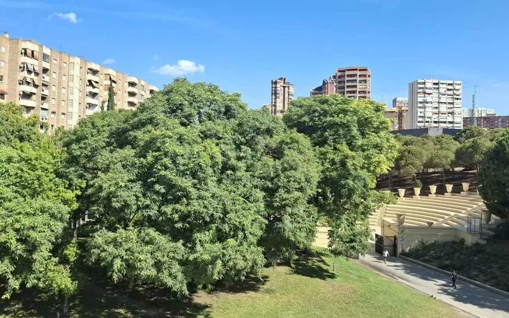 Benidorm invierte 100.000 euros en 400 nuevos árboles para combatir el calor urbano