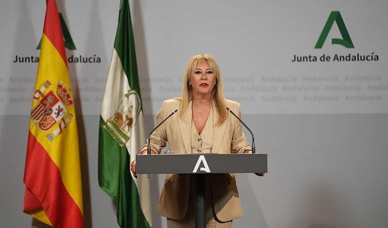 Junta de Andalucía declara zona de desastre natural el incendio de Huelva y Sevilla