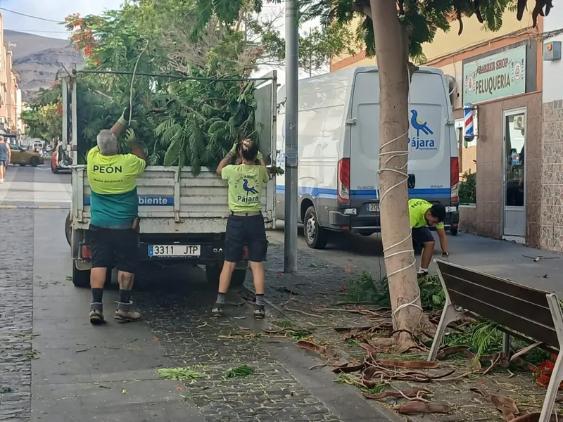 Pájara mejora los jardines de Morro Jable con podas y mantenimiento