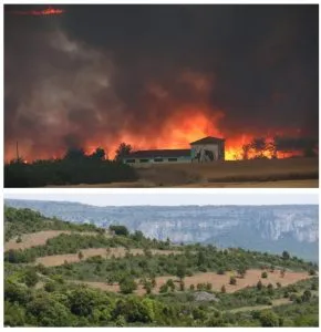 Navarra destina fondos para prevenir incendios forestales en el Valle de Etxauri