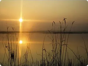 La Laguna de Pitillas, un santuario de aves acuáticas en Navarra