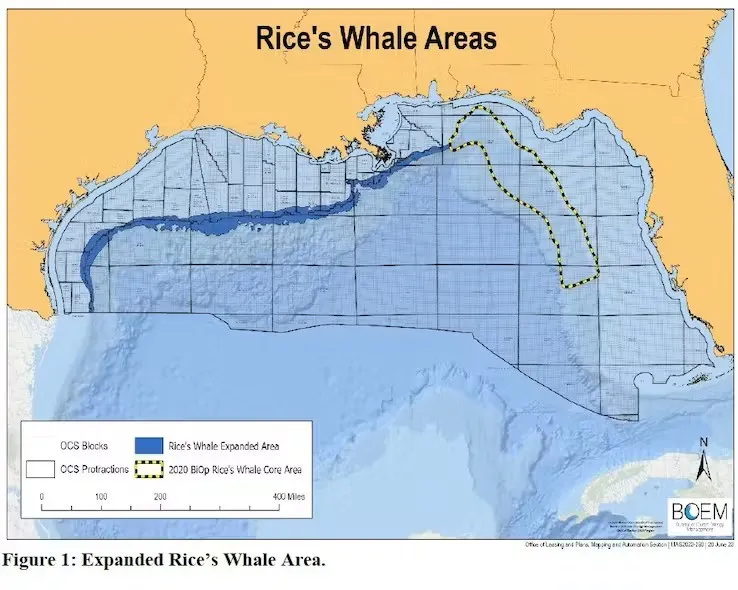 Biden limita la exploración de petróleo en el Golfo de México por el bien de la ballena Rice