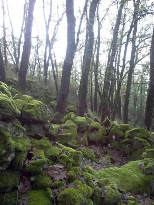 Jerte: Un municipio extremeño de contrastes geográficos y rica biodiversidad