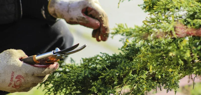 Tafalla lanza una Escuela Taller para formar a 12 jóvenes en limpieza y jardinería