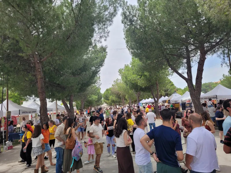 El VID Festival de Daimiel atrae a 5.000 asistentes y corona a Sara del Valle