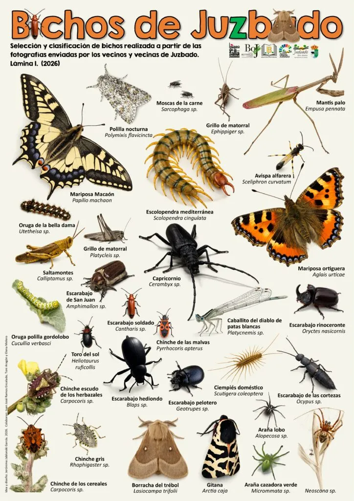 Juzbado lanza 'Bichos de Juzbado', un proyecto de ciencia ciudadana para catalogar la fauna local