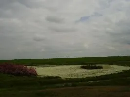 Cantimpalos reclama a la Confederación Hidrográfica la canalización del Arroyo Papeles