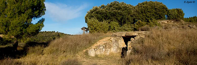 Viana: Un viaje a través de la historia desde la Prehistoria hasta la actualidad