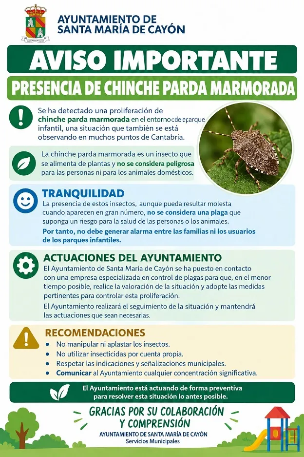 Santa María de Cayón toma medidas preventivas ante la aparición de la chinche asiática