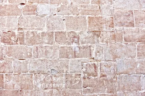 La Iglesia de Nuestra Señora de la Asunción de Sax revela sus secretos renacentistas