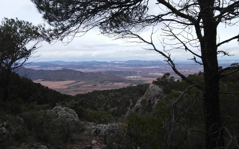Villena restringe el acceso a entornos naturales por el eclipse y el riesgo de incendio