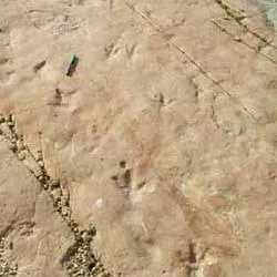 Gallinero: un tesoro de historia celtíbera y huellas de dinosaurio en Soria