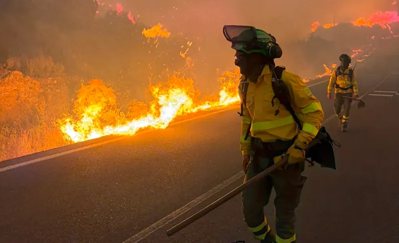 Seis fallecidos en un devastador incendio forestal en Los Gallardos