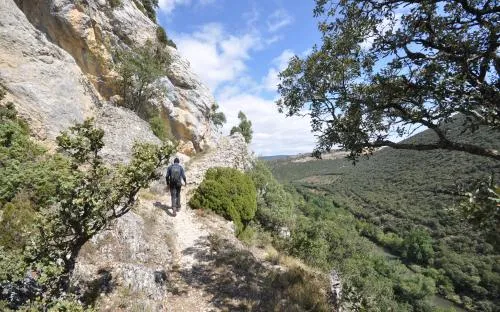 Burgos: Un Legado Histórico y Natural que Invita al Descubrimiento