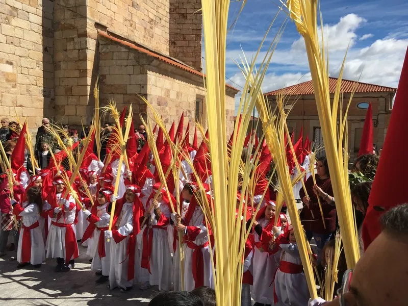 Villaralbo celebra el Domingo de Ramos con su tradicional procesión