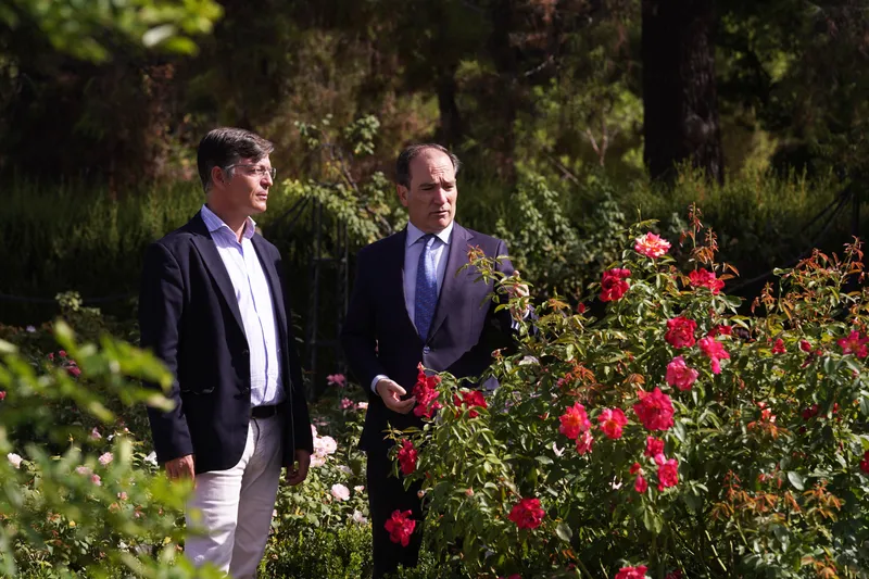 Madrid inicia un plan de conservación de la Rosaleda del Retiro hasta 2027