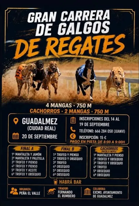 Guadalmez celebra su gran carrera de galgos el 20 de septiembre