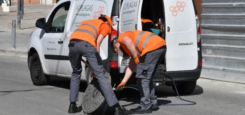 Tomares inicia campaña de desinsectación y desratización para prevenir plagas