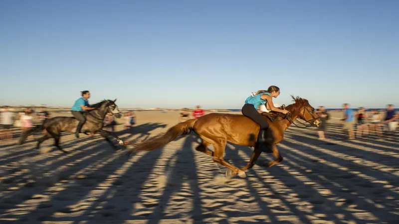 Las Corregudes de Joies regresan a la playa de Pinedo con carreras de caballos a pelo