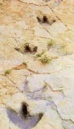 Descubre las rutas turísticas de La Rioja Baja: del vino a los dinosaurios