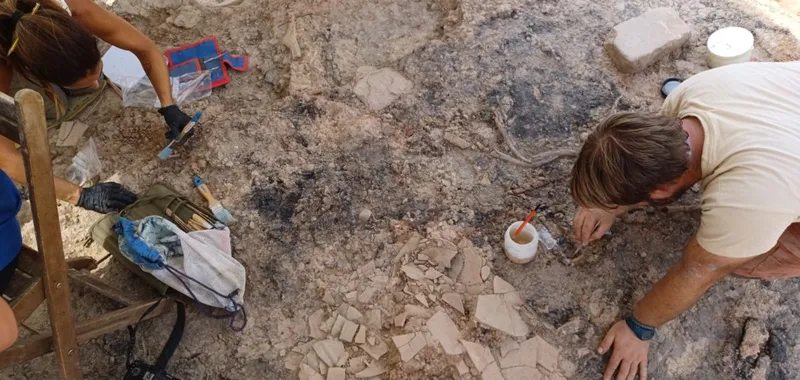 Viana abre al público la excavación arqueológica de La Custodia
