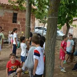 Liceras celebra su Semana Cultural con exhibición de cetrería