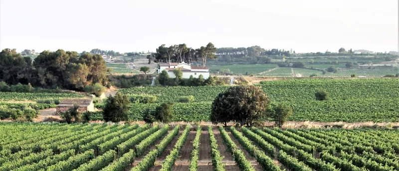 Font-rubí: un balcón natural entre el Alt Penedès y la Anoia