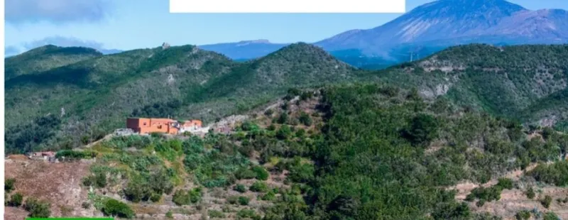Senderismo interpretativo y taller de apicultura en el Parque Rural de Teno