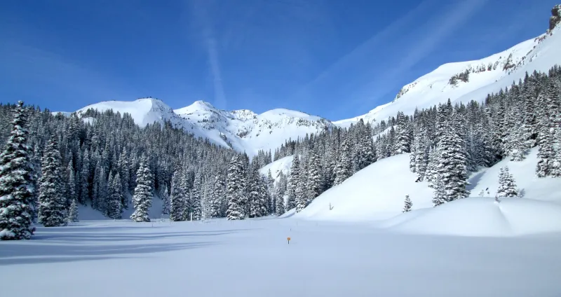 Iniciativa busca soluciones para el problema del polvo en la nieve en las Montañas San Juan