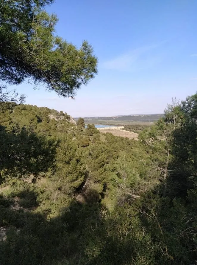 Descubre la senda «Barranco Jaral» en Pétrola: ruta de baja dificultad y 8,65 km