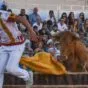 Pedrola pone a la venta programas y entradas para las Fiestas de San Roque 2026