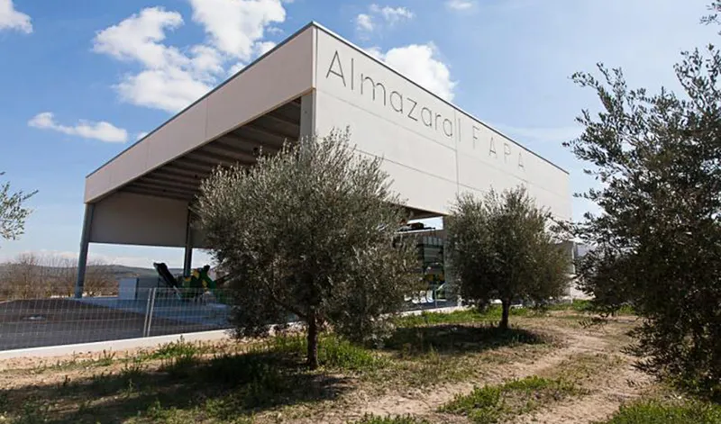 Investigación andaluza abre la puerta a la reautorización de enzimas en la extracción de aceite de oliva virgen extra
