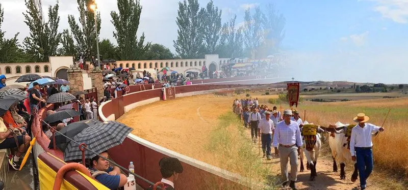 Valdeolmos-Alalpardo celebra sus fiestas patronales y populares a lo largo del año