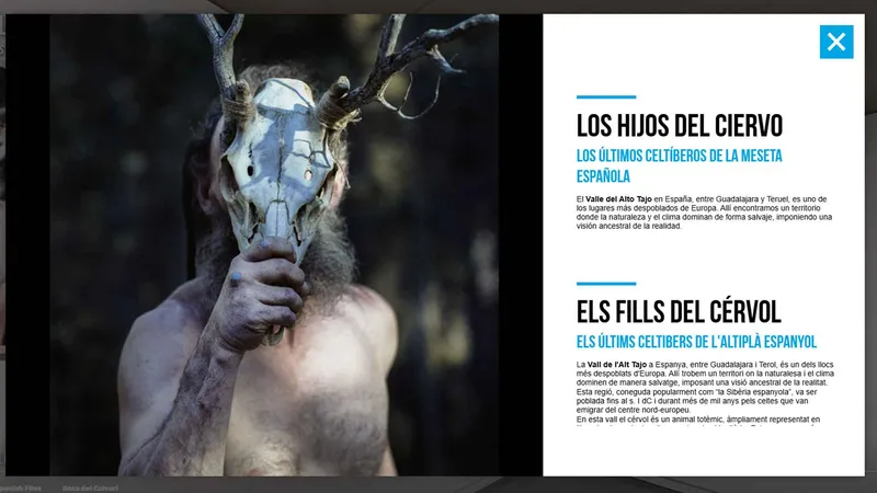 Benidorm Virtual acerca la exposición 'Del bosque a las estrellas' a todo el mundo