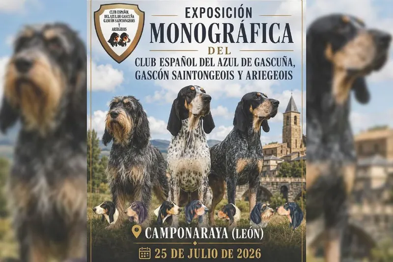 Camponaraya acoge la Exposición Monográfica del Club Español del Azul de Gascuña