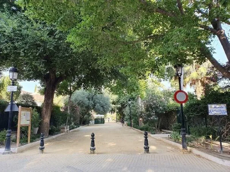 Lorca fumigará olmos este fin de semana contra la plaga de Galeruca