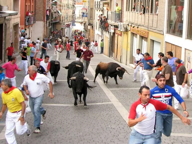 Cuéllar vibra con la emoción de sus encierros de Interés Turístico Internacional