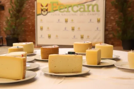 El 36º Concurso de Quesos Manchegos de Fercam premia la excelencia de 41 muestras regionales