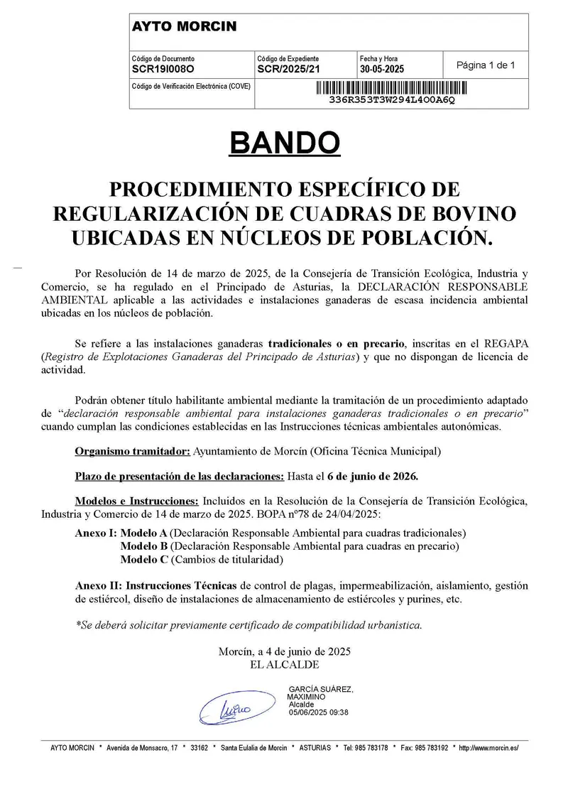 Morcín abre plazo para regularizar cuadras de ganado bovino en núcleos urbanos