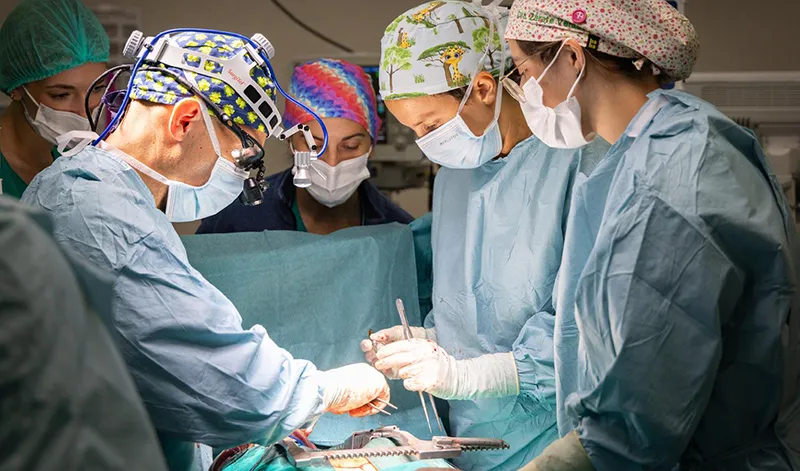 El Hospital Regional de Málaga realiza nueve trasplantes de órganos en tres días