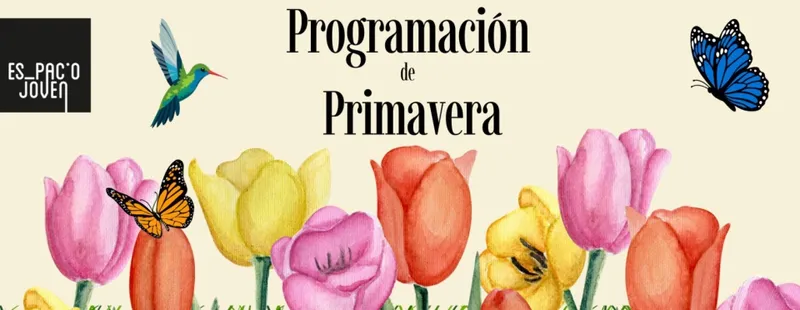 Adeje lanza su programación de primavera para jóvenes con actividades formativas y de ocio