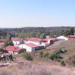Cubilla: Un municipio soriano entre pinares, fauna cinegética y tradición resinera