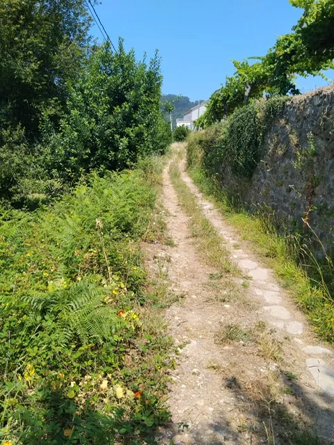 Sanxenxo licita el ensanche y pavimentación del Camiño de Guillabai en Dorrón por 154.800 euros