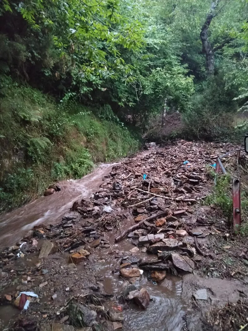 Allande agradece la colaboración ciudadana tras la tormenta que cortó carreteras