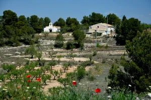 La Ermita de San José de Ricote, un tesoro arquitectónico con vistas a la sierra