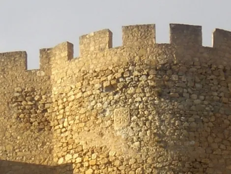 El escudo del castillo de Sax: un viaje heráldico a través de la historia